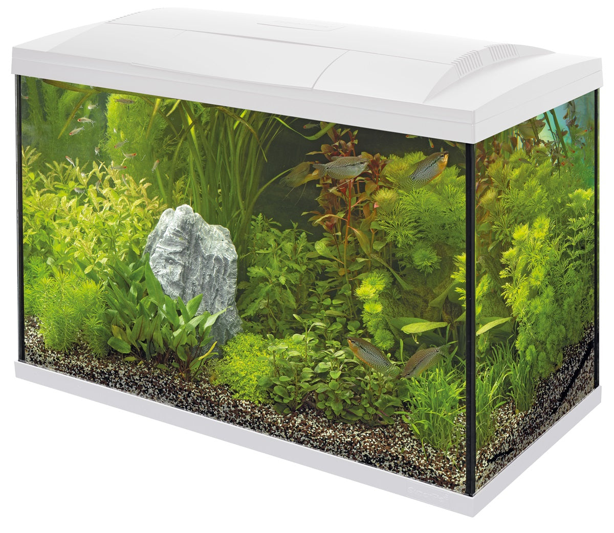 SuperFish Start 150 Tropical Kit Aquarium – 146 Liter