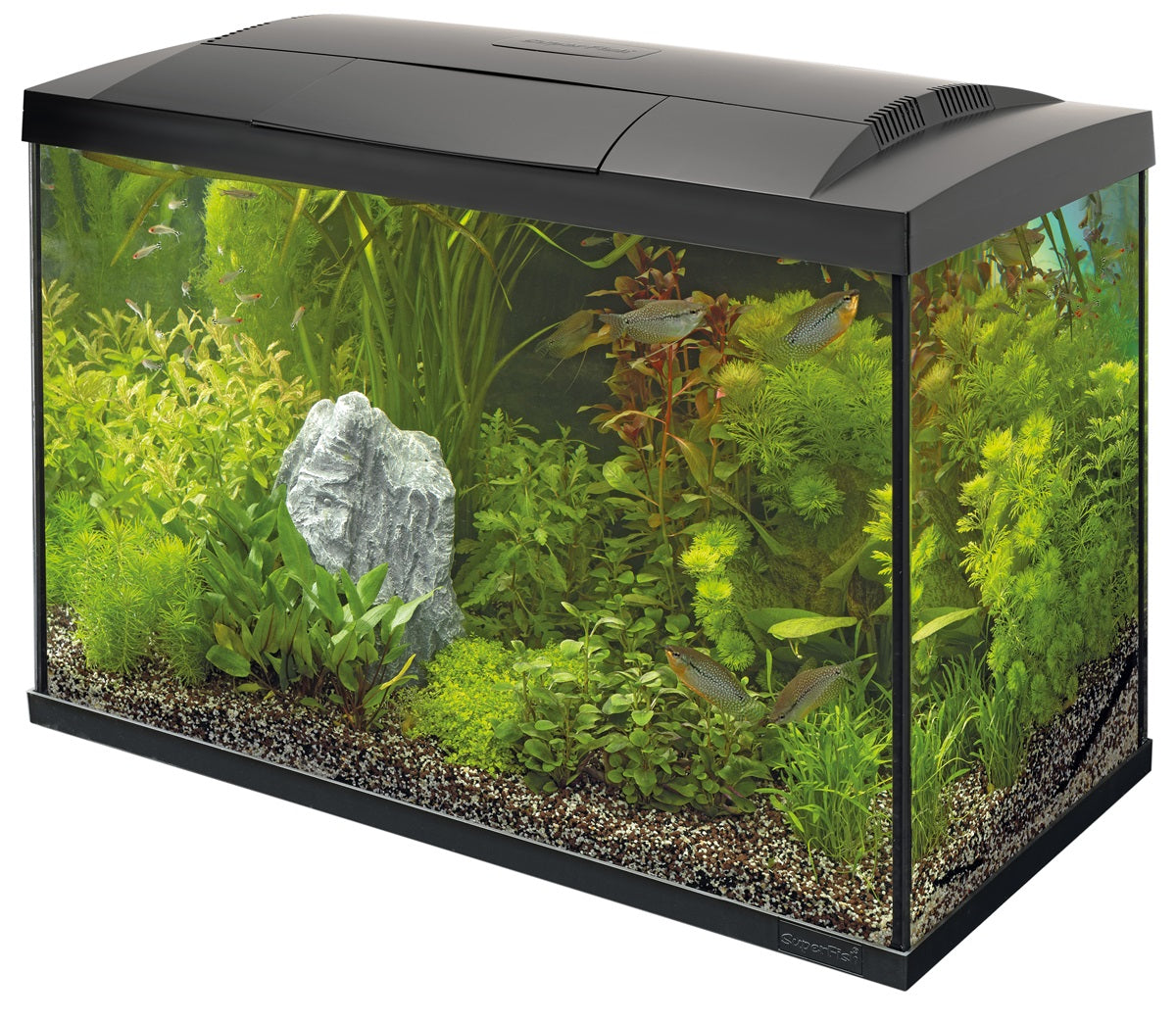 SuperFish Start 70 Tropical Kit Aquarium – 60 Liter