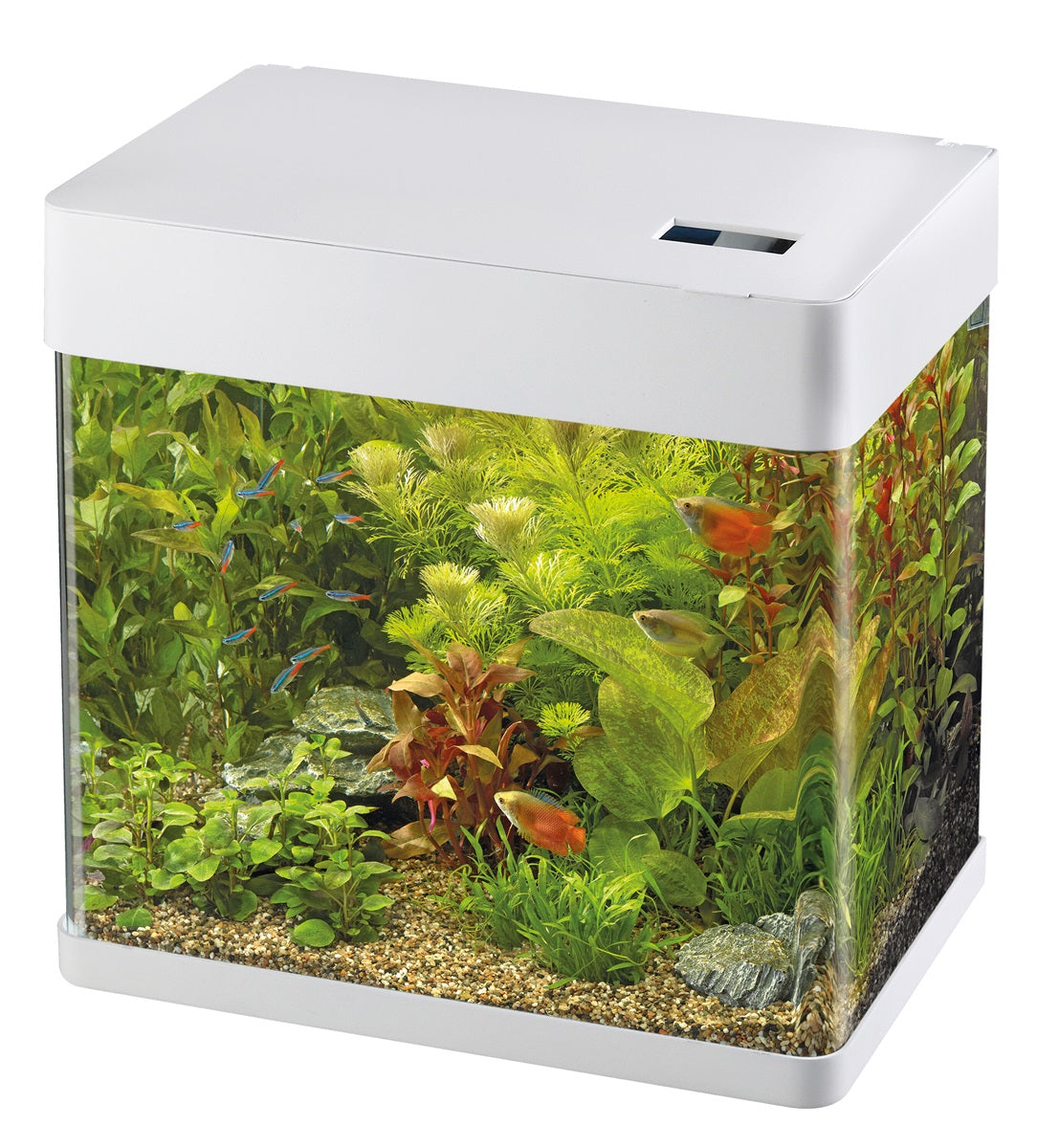 SuperFish Panorama 20 LED Aquarium – 17 Liter