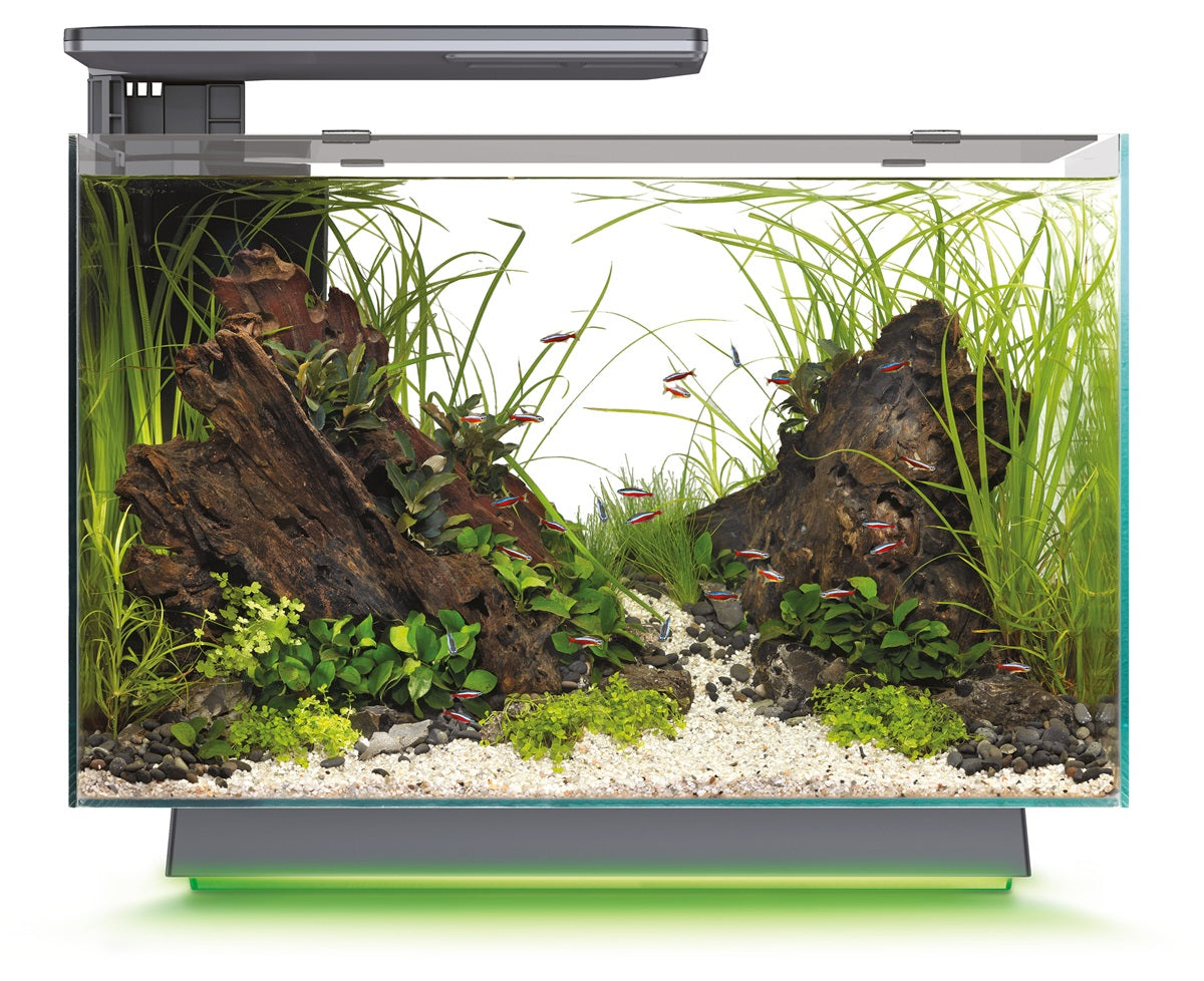 SuperFish Quadro 70 Multi Colour Aquarium – 67 Liter