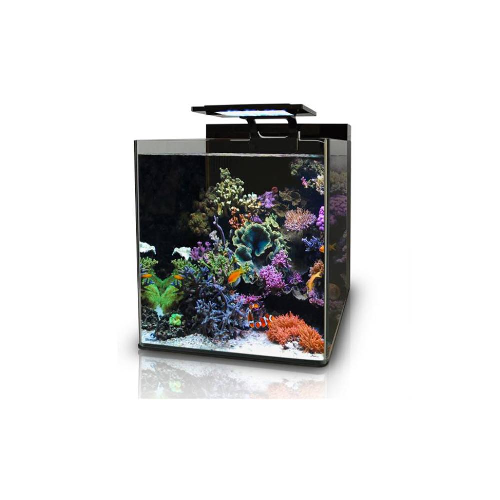 BlueMarine Reef 60 Aquarium