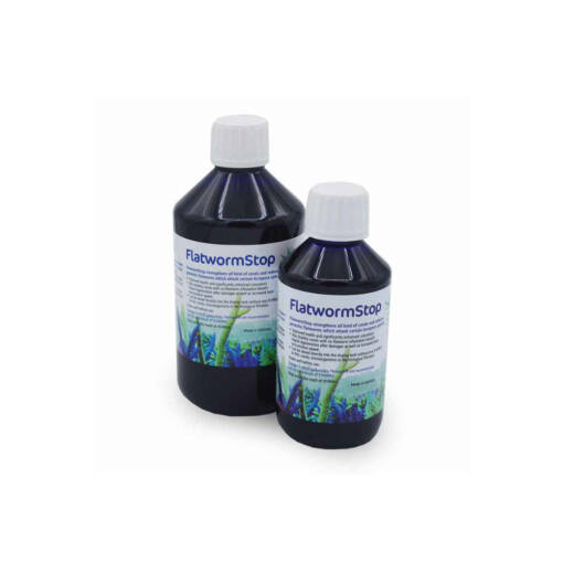 Korallen-Zucht Flatworm Stop