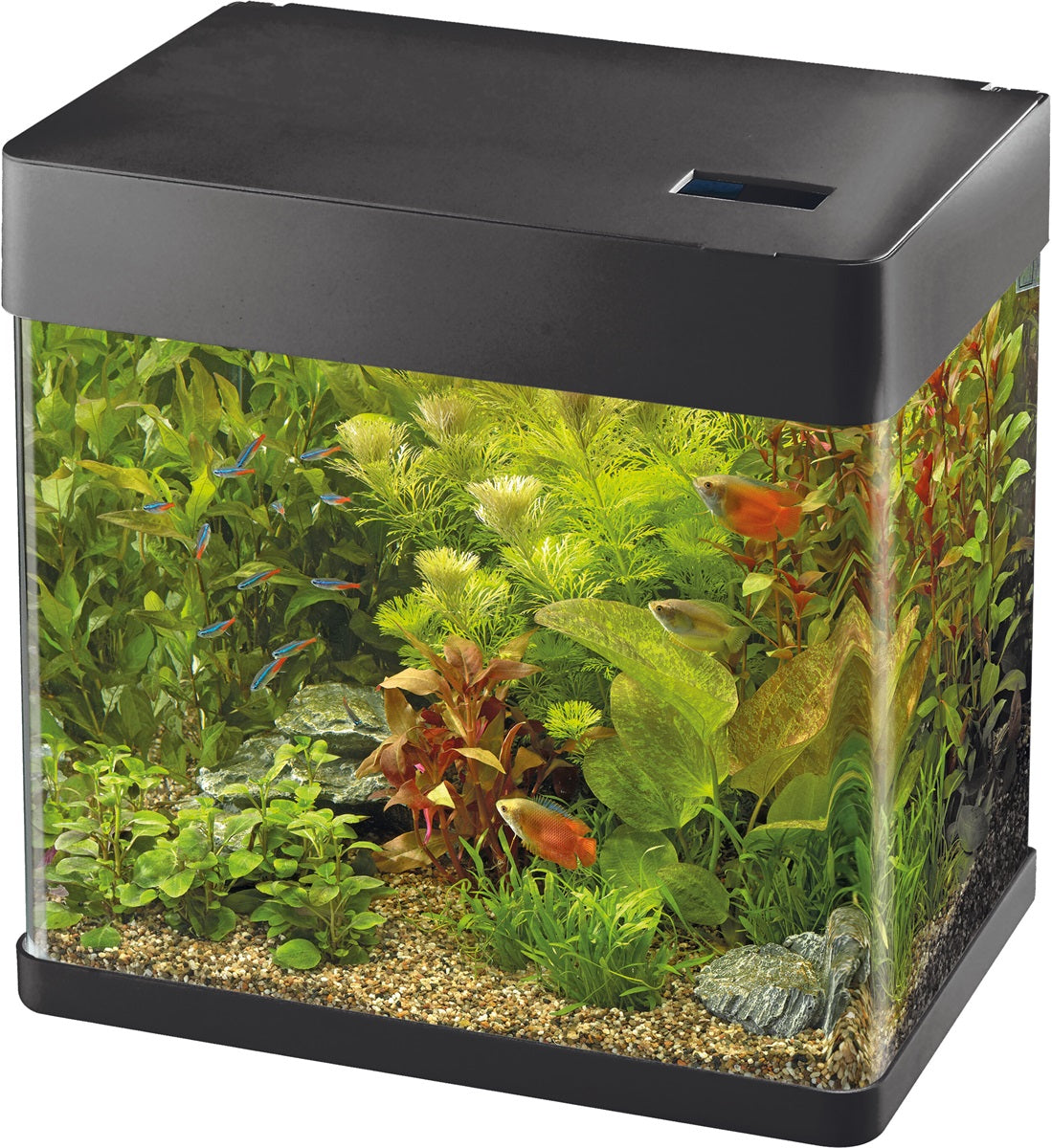 SuperFish Panorama 35 LED Aquarium – 30 Liter