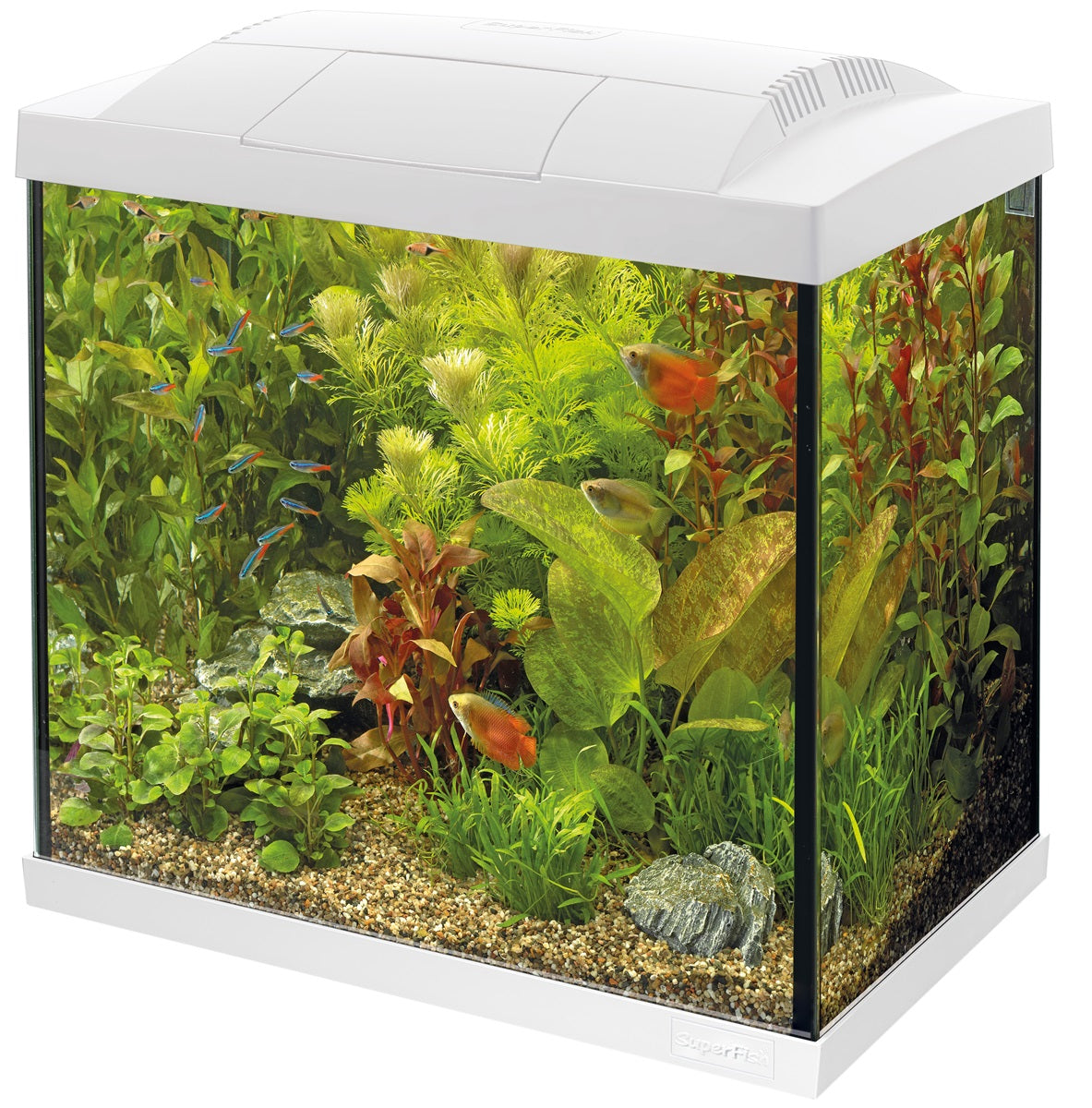 SuperFish Start 50 Tropical Kit Aquarium – 40 Liter