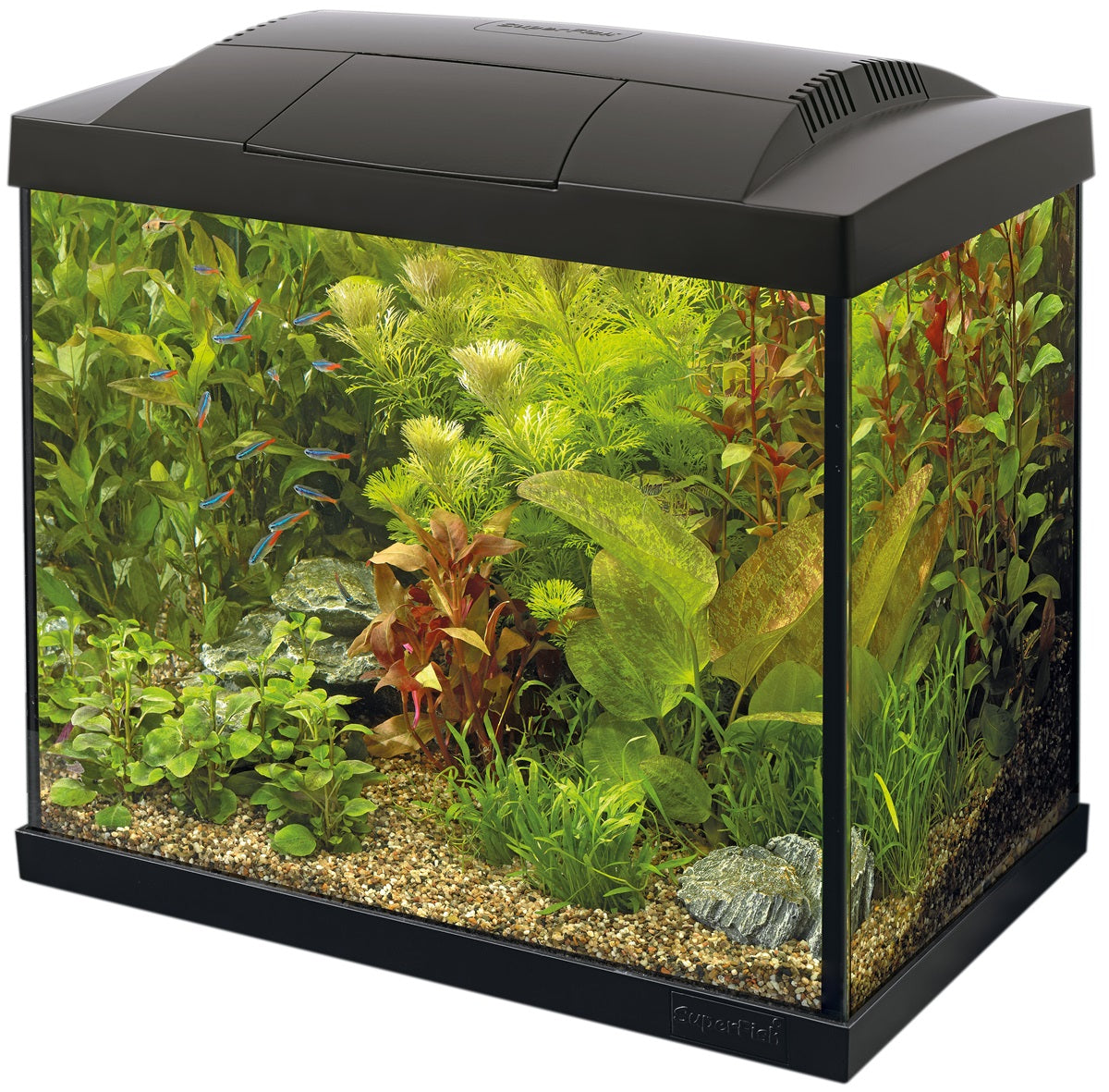 SuperFish Start 30 Tropical Kit Aquarium – 25 Liter