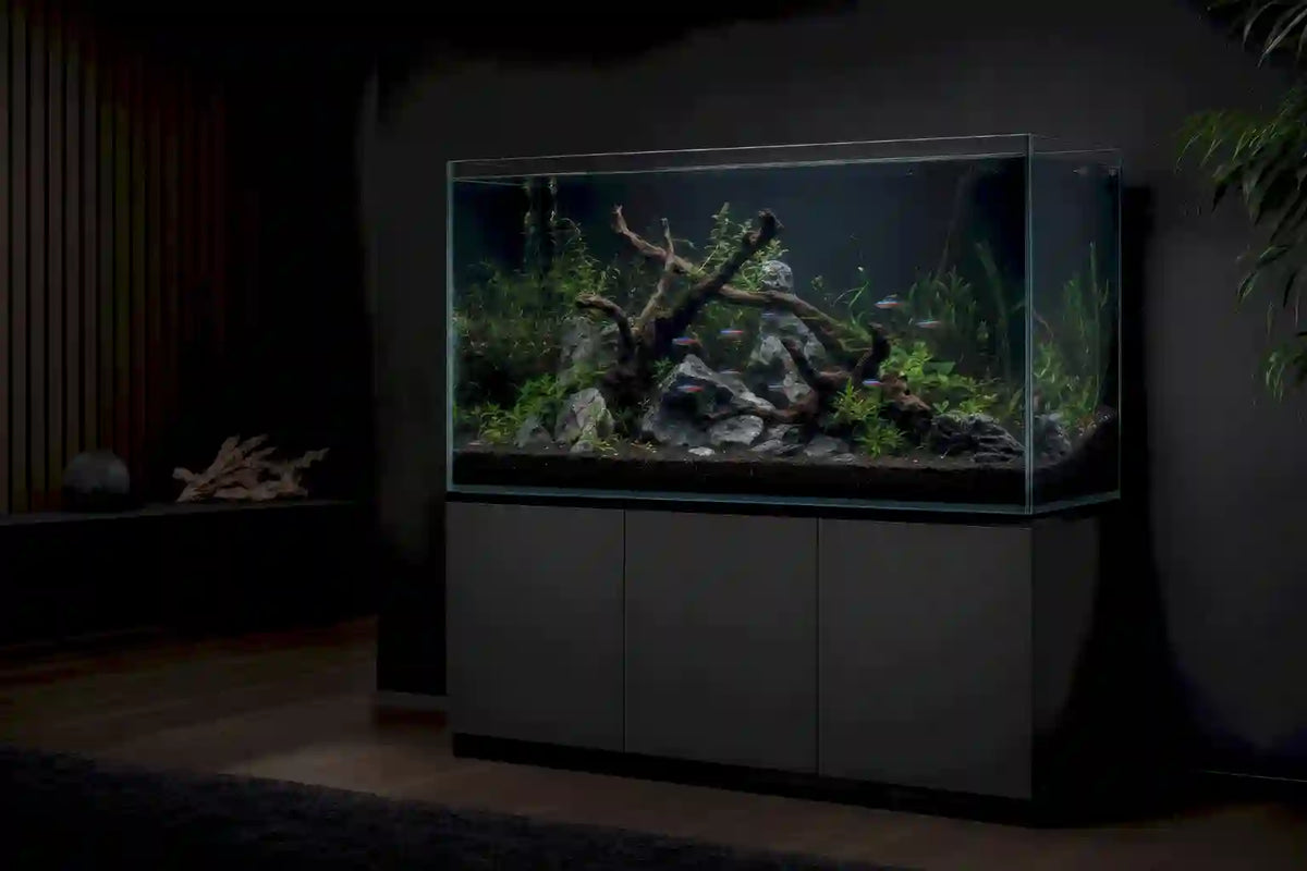Aquarien & Sets